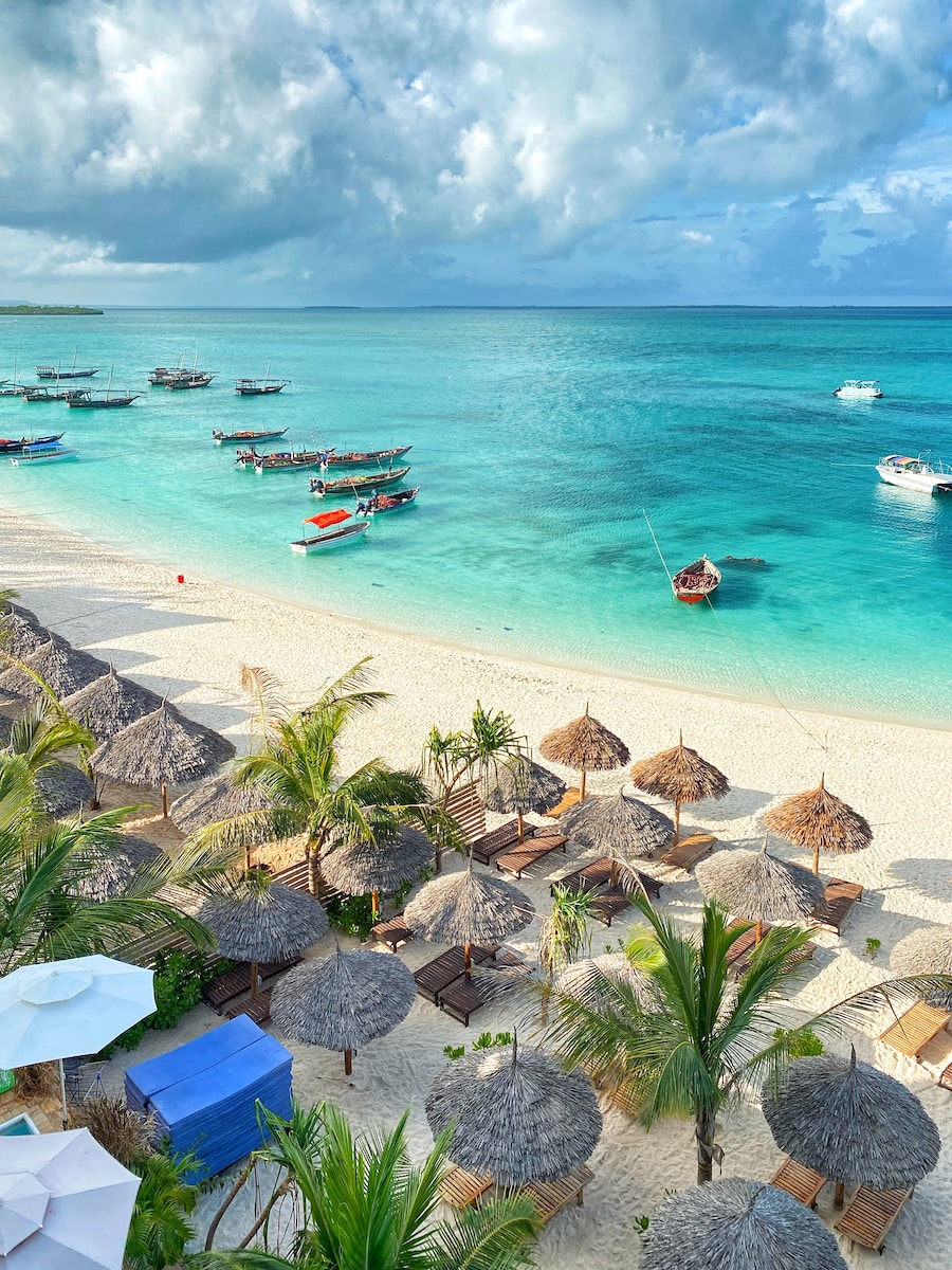 people on beach during daytime